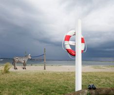 11 Frederika Hoffmann Zebra am Strand