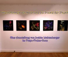 23 eine neue Ausstellung von Joachim Lichtenberger im FFH